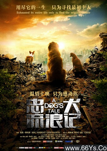 2021年叮当,应昊茗剧情片《忠犬流浪记》4K高清国语中字