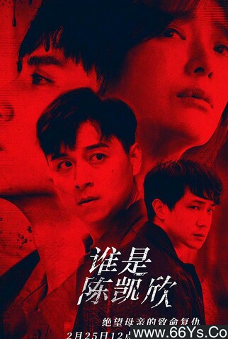 2021年蔡淑臻,郑人硕剧情《我是自愿让他杀了我》1080P国语中字