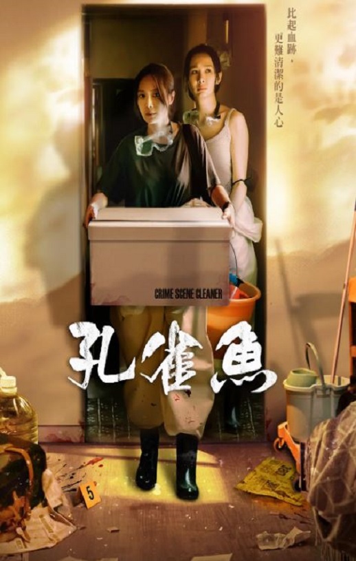 2024年尹馨,蓝苇华电视剧《孔雀鱼》连载至03集