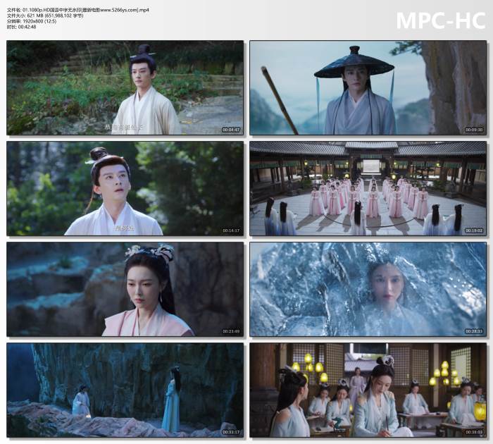 2025年唐嫣,刘学义电视剧《念无双 剧版》更新至12集