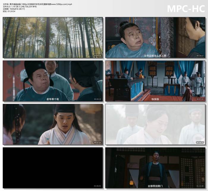 2025年沈泰,胡悦动作片《黑木城盗金案》1080p.HD国语中字