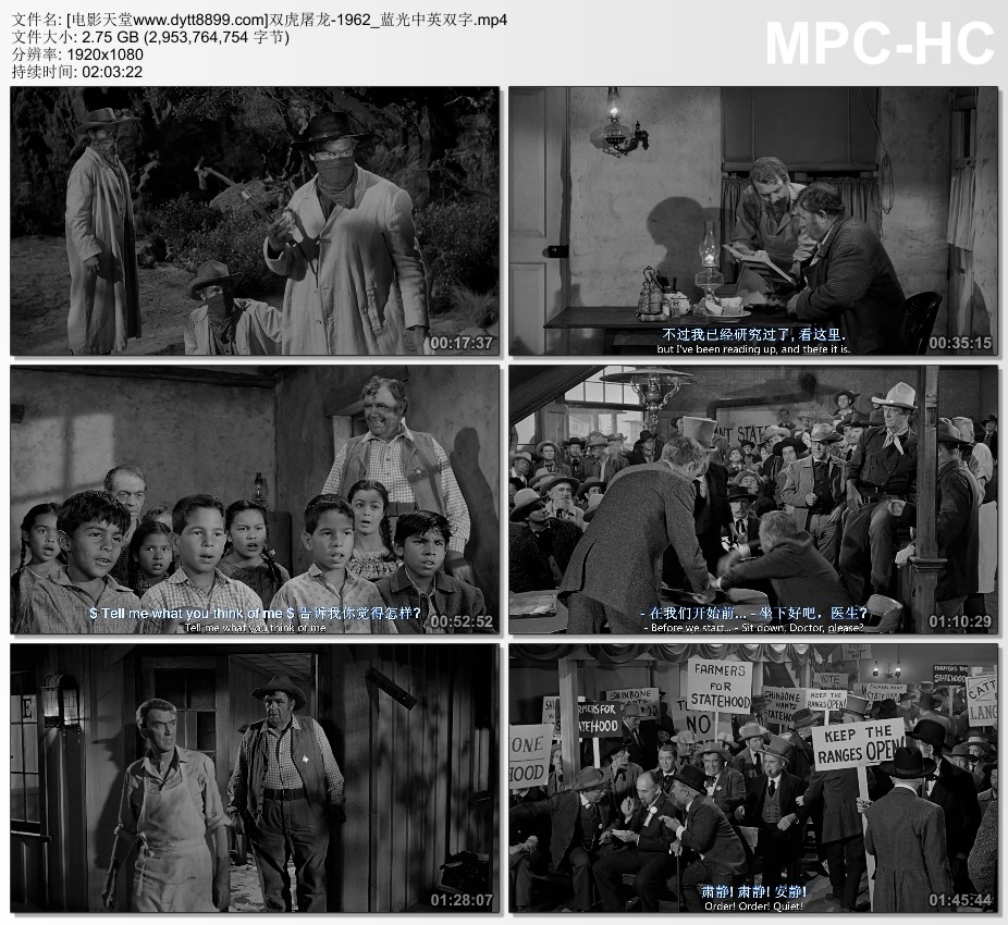 1962年美国8.2分西部片《双虎屠龙》蓝光中英双字