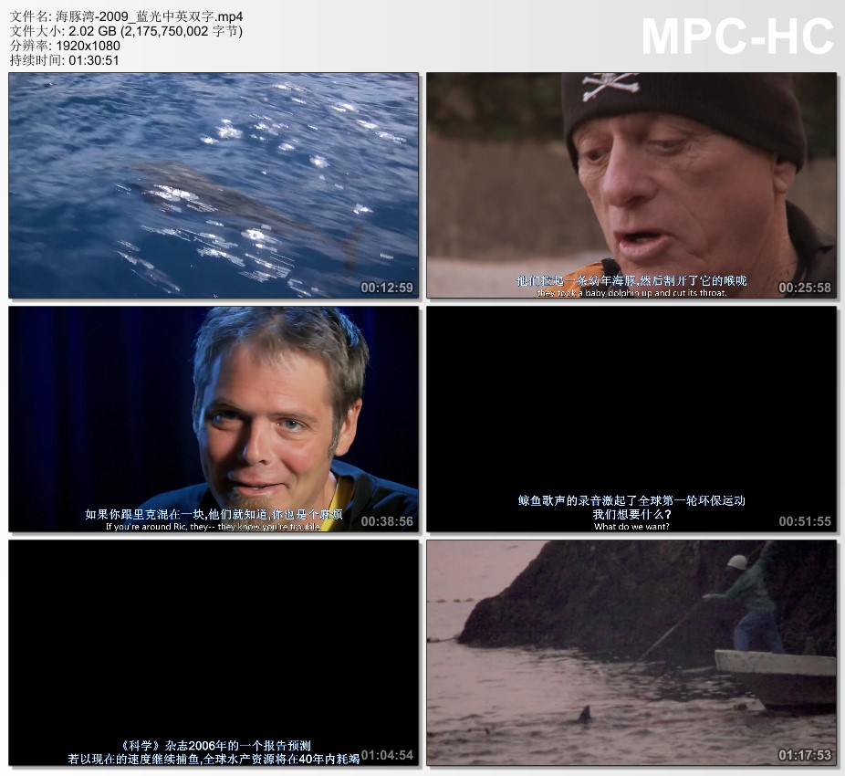 2009年美国9.3分记录片《海豚湾》蓝光中英双字