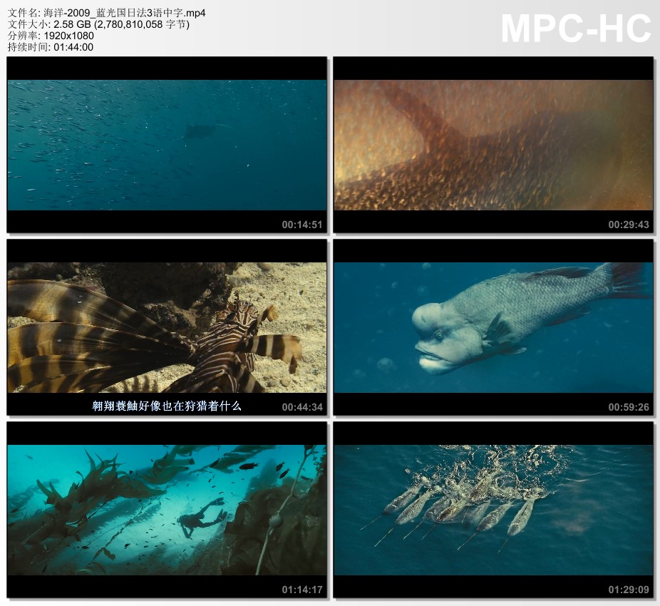 2009年法国9.1分纪录片《海洋》蓝光国日法3语