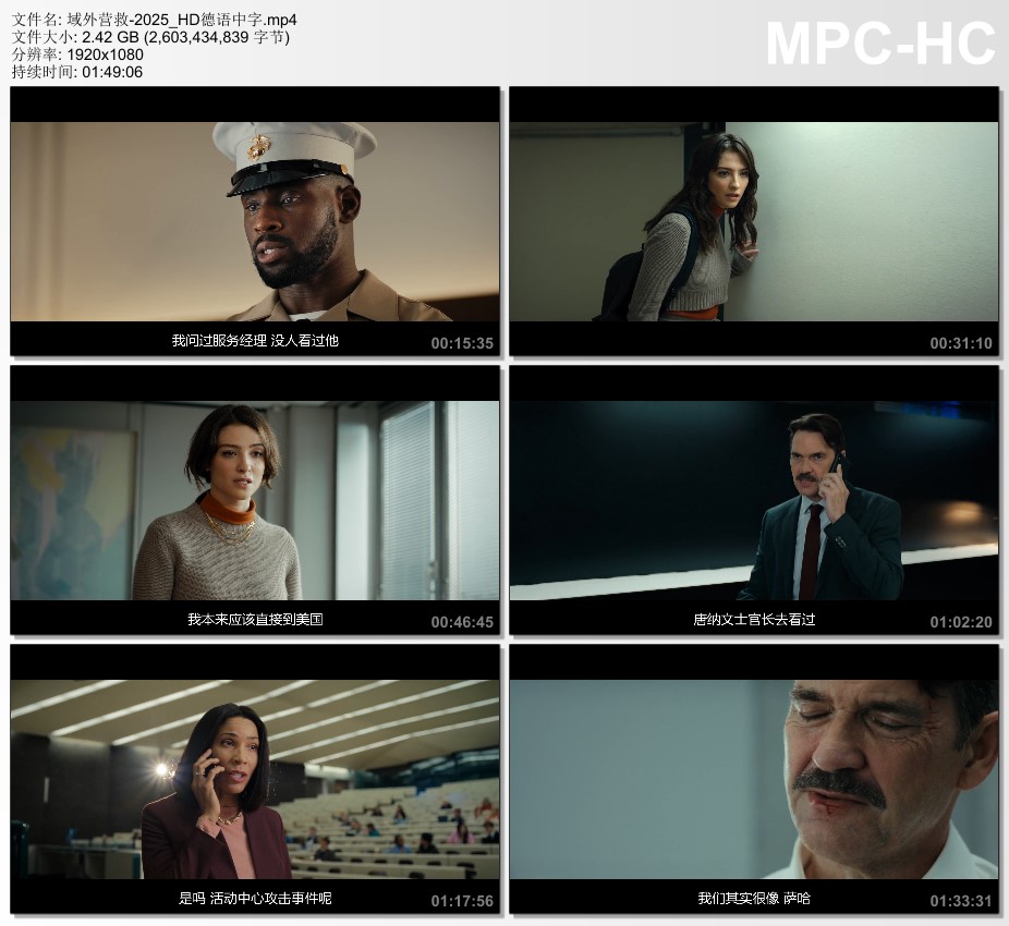 2025年德国动作片《域外营救》1080P德语中字