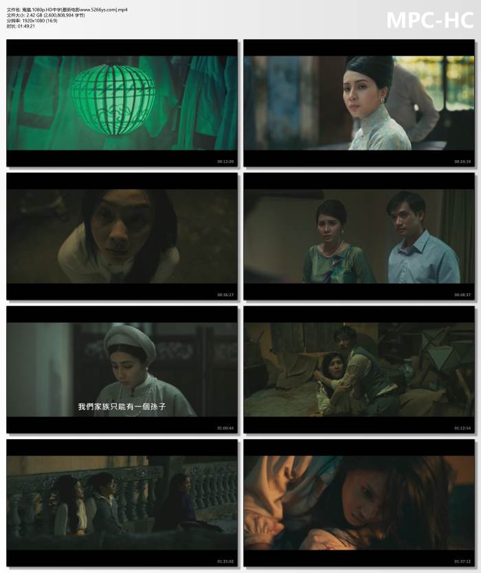 2024年越南恐怖片《鬼猫》1080P中字