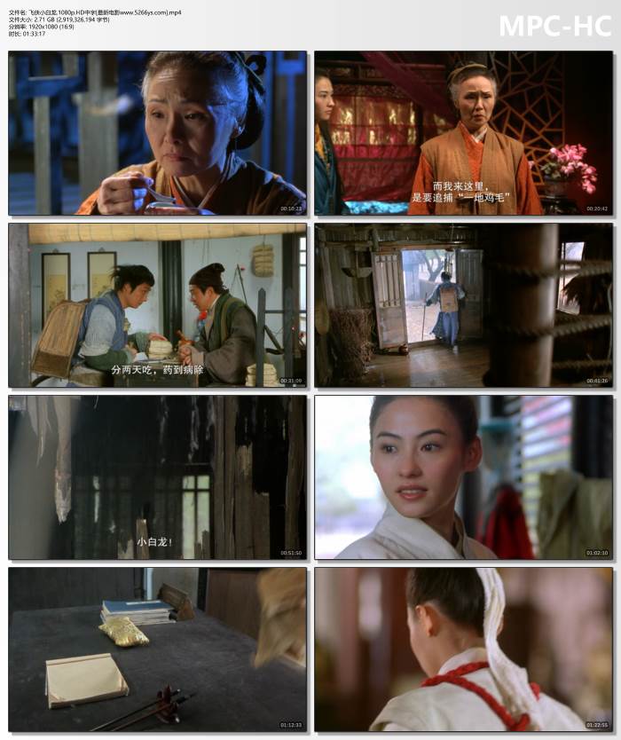 2004年张柏芝,吴镇宇动作喜剧《飞侠小白龙》1080P中字