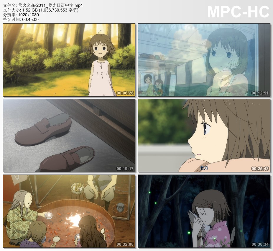 2011年日本8.8分动画片《萤火之森》蓝光日语中字