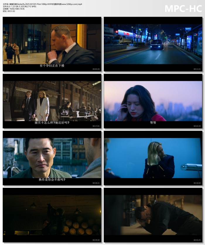 2025年美剧《蝴蝶风暴》全6集